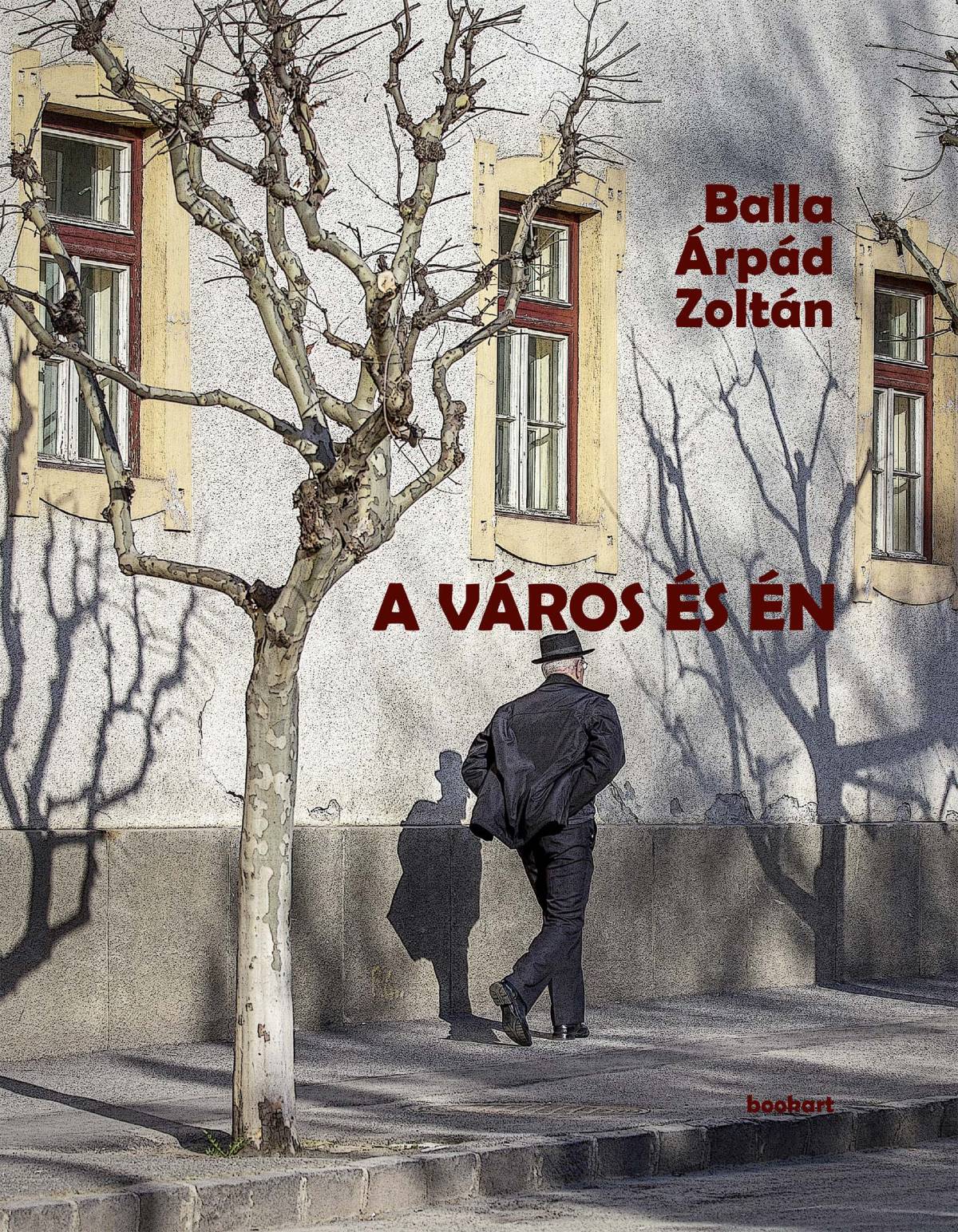 A város és én
