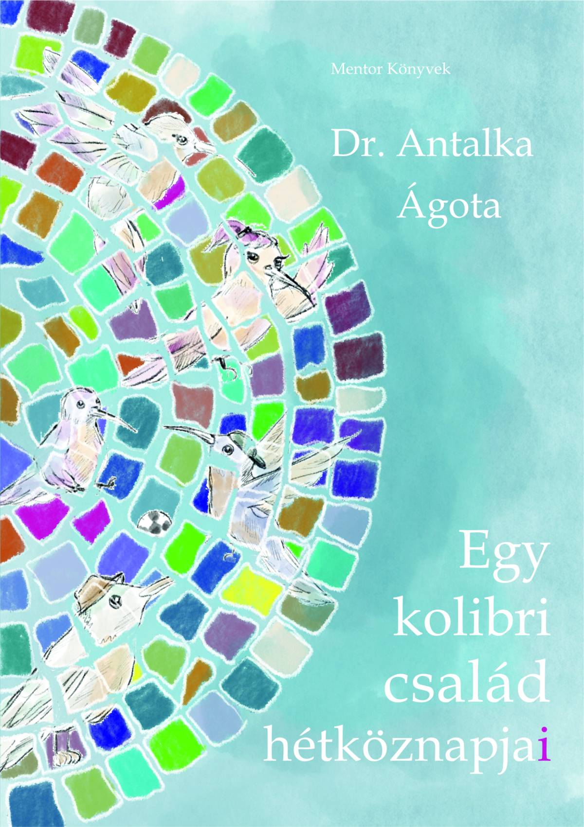 Egy kolibri család hétköznapjai